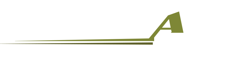 Hamisa Group